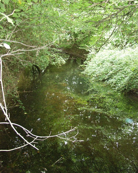 The Lady Well