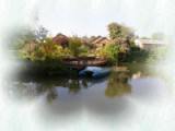 <b>Woolpit Village Life</b>